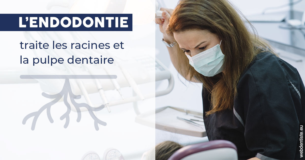 https://dr-bettinelli-dominique.chirurgiens-dentistes.fr/L'endodontie 1