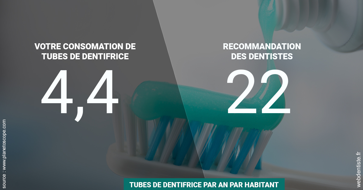 https://dr-bettinelli-dominique.chirurgiens-dentistes.fr/22 tubes/an 2