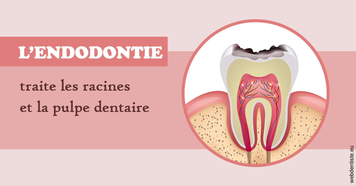 https://dr-bettinelli-dominique.chirurgiens-dentistes.fr/L'endodontie 2