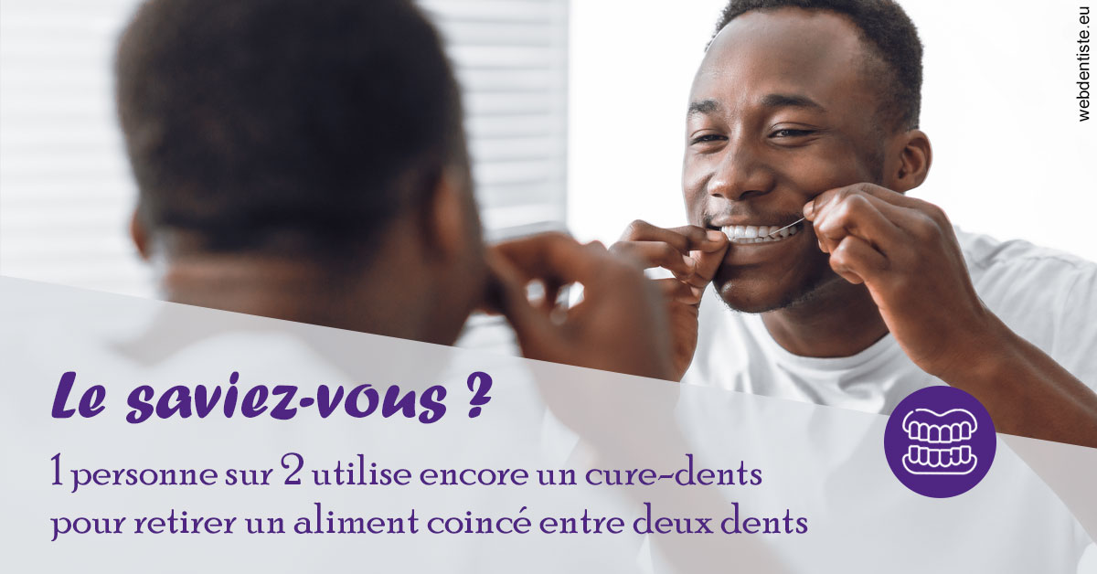https://dr-bettinelli-dominique.chirurgiens-dentistes.fr/Cure-dents 2