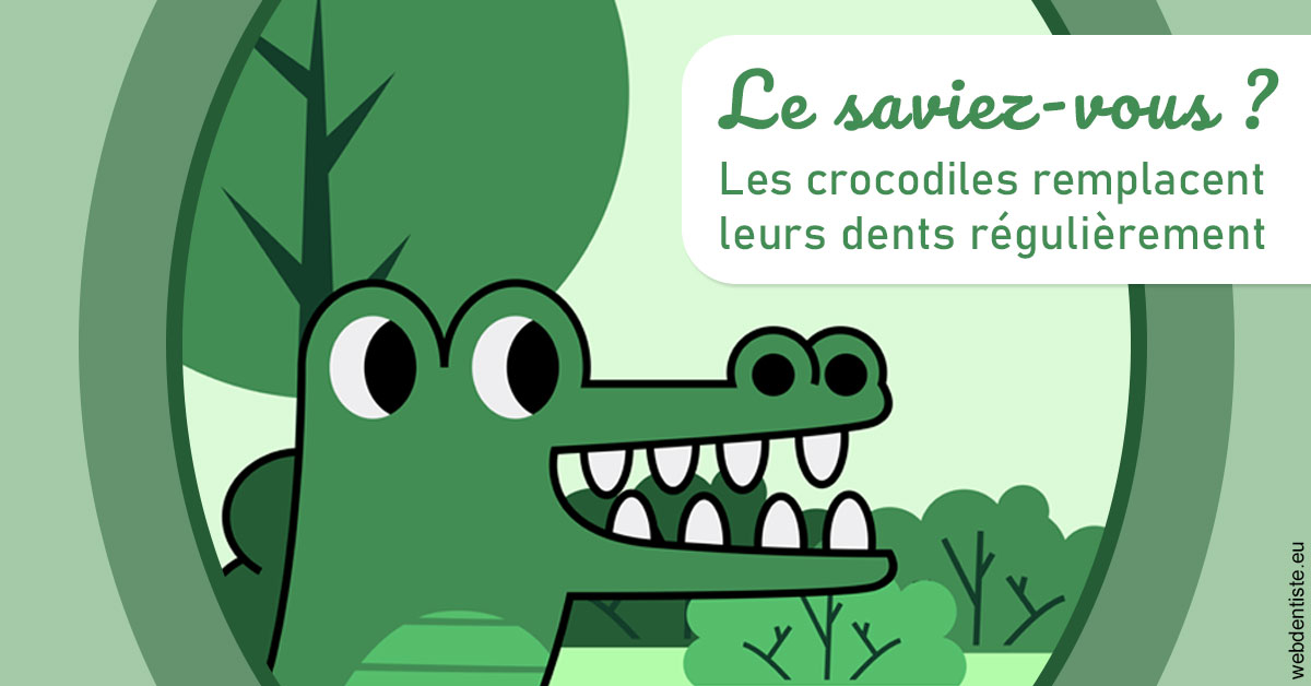 https://dr-bettinelli-dominique.chirurgiens-dentistes.fr/Crocodiles 2