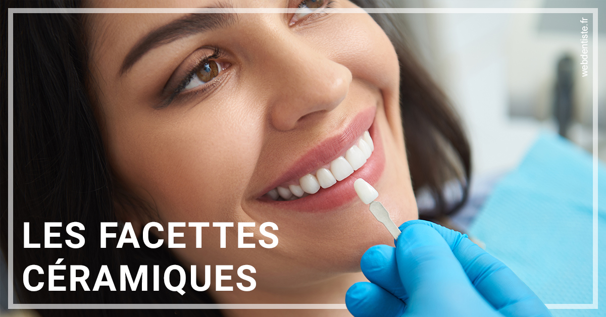 https://dr-bettinelli-dominique.chirurgiens-dentistes.fr/Les facettes céramiques 1