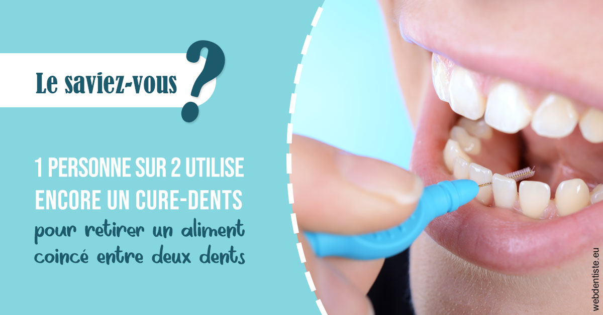 https://dr-bettinelli-dominique.chirurgiens-dentistes.fr/Cure-dents 1