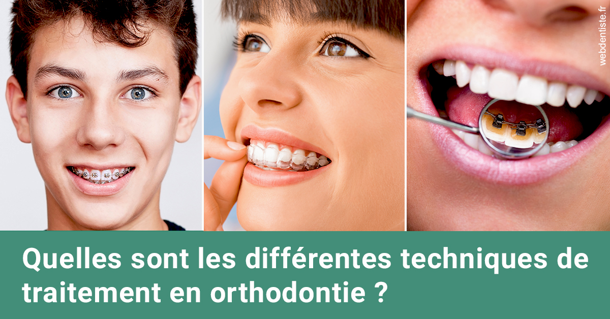 https://dr-bettinelli-dominique.chirurgiens-dentistes.fr/Les différentes techniques de traitement 2