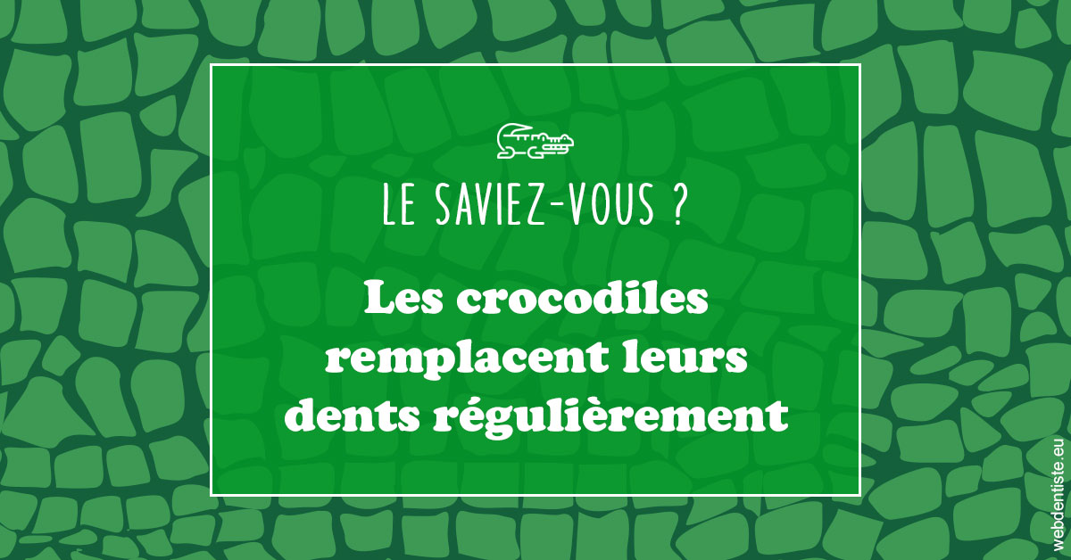 https://dr-bettinelli-dominique.chirurgiens-dentistes.fr/Crocodiles 1